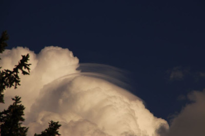 Pileus Wolke 1700626-F.jpg