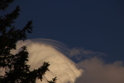 Pileus-Wolke-F.JPG