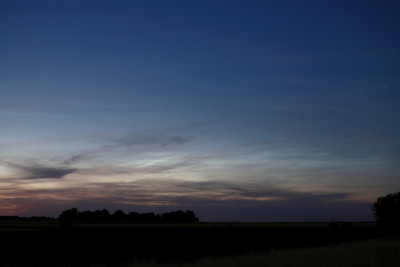 IMG_3242p1w1.jpg