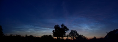 NLC - 01.jpg