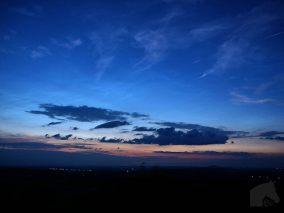 P1498947-3.jpg