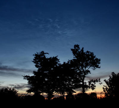 NLC 01.jpg