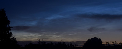 NLC 03.jpg