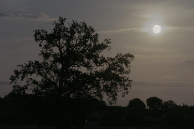 Erdbeermond
