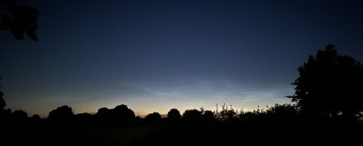 NLC_01.jpg