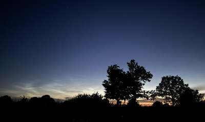 NLC_02.jpg