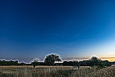 6N4A1838_USM.jpg