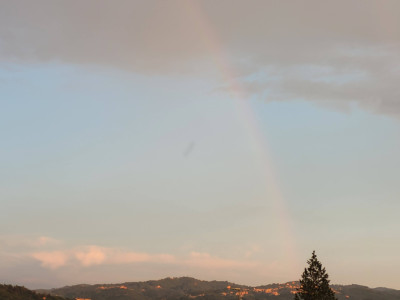 20260701_201258.jpg