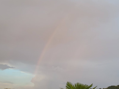 20260701_202313.jpg
