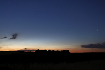 2038UT_IMG_3507_p1w1.jpg