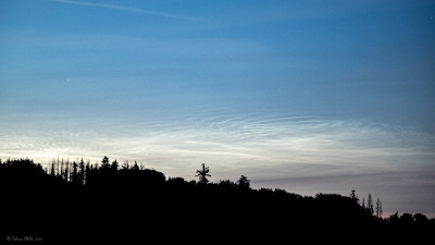 IMG_0461.jpeg