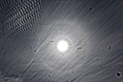 Pyramidale_070726.jpg