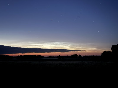 IMG_9765.jpeg