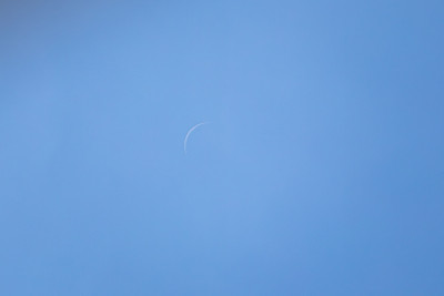 358A6009.jpg
