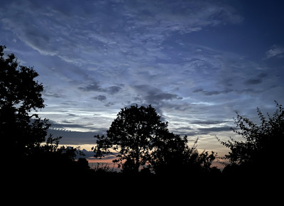 NLC - 2026-07-16_17 - 02 - akm.jpg