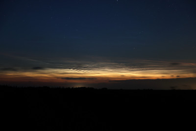 IMG_6580.jpeg