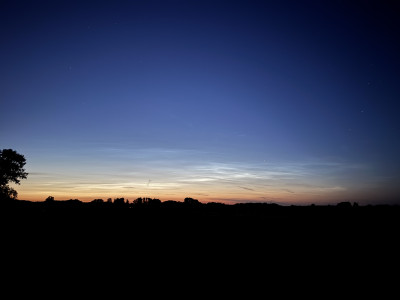 IMG_0974.jpeg