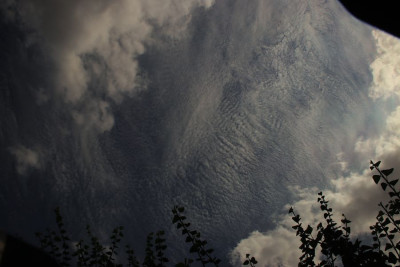 Cirrus cumulus-floccus - F.JPG