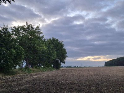 20260723_215430.jpg