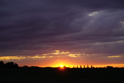DSC04599.JPG