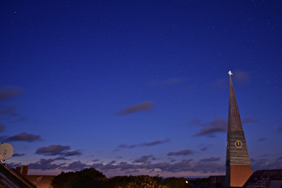 01-NLC.JPG