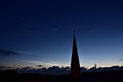 2-NLC.JPG