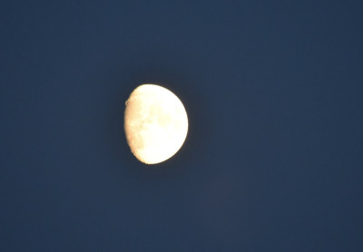 DSC_1089f Kopie.jpg