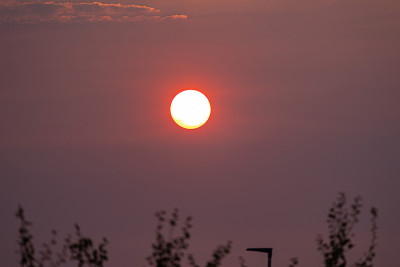 Waldbrandrauch_250726_3.jpg