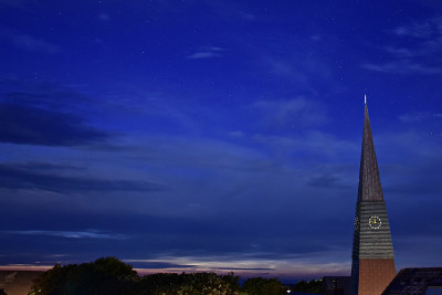 1-NLC.JPG