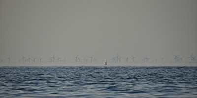 DSC_3869-ps-kl.JPG