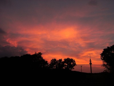 35 20160605AroBoCi.jpg