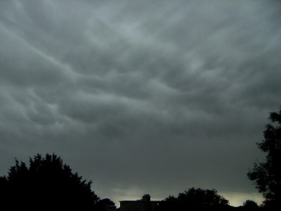 45 Cbmamvir20160607b.jpg