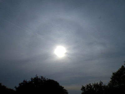 37 Halo 20260731.jpg