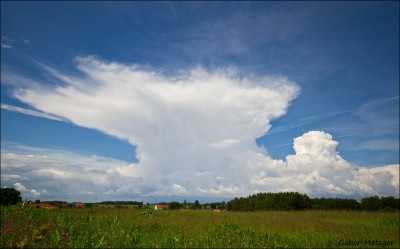comp_IMG_07271.jpg