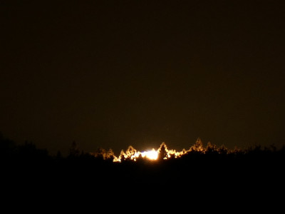 Abb. 6: Der letzte Rest der Sonne hinter den Bäumen auf dem Großen Feldberg  (20:17 MESZ).