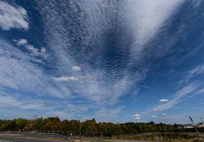6N4A5751.jpg