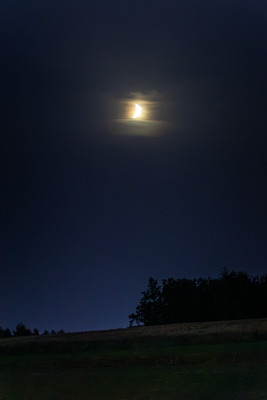 358A6341.jpg