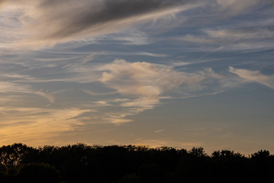 22er_Fragment_010926_k.jpg