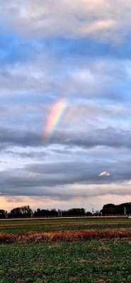 Regenbogen an Virga-neuF.jpg