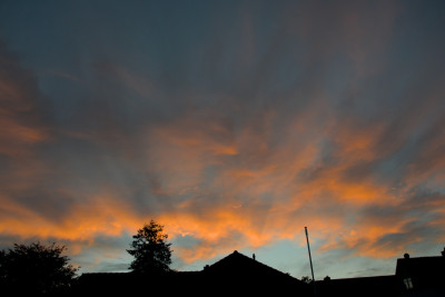 DSC_2384_350.jpg