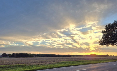 20260914_192033.jpg