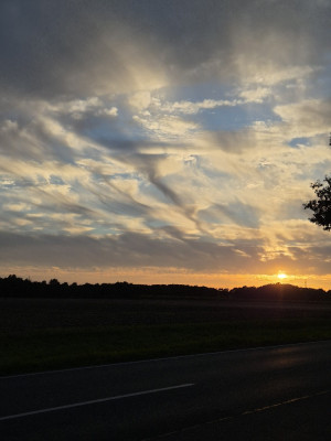 20260914_192100.jpg