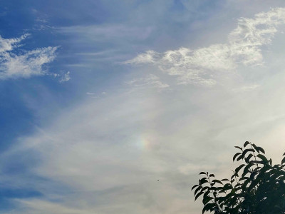 20260917_173333.jpg