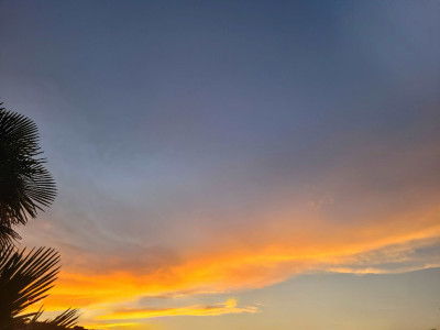 20260917_190931.jpg