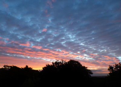 42 Morgenrot Sc 20260921b.jpg