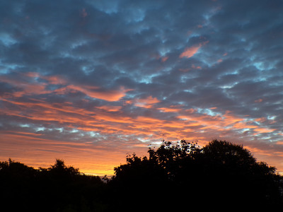 43 Morgenrot Sc 20260921c.jpg