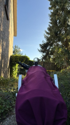 Mittel (IMG_4578).jpeg