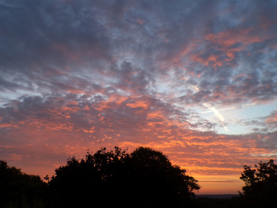 47 Morgenrot 20260928.jpg