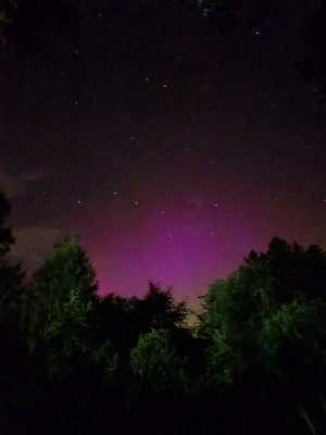 21:08 h Gartenmitte, Richtung Norden