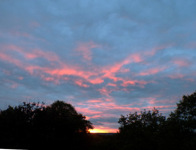 49 Morgenrot Ns 20261013.jpg